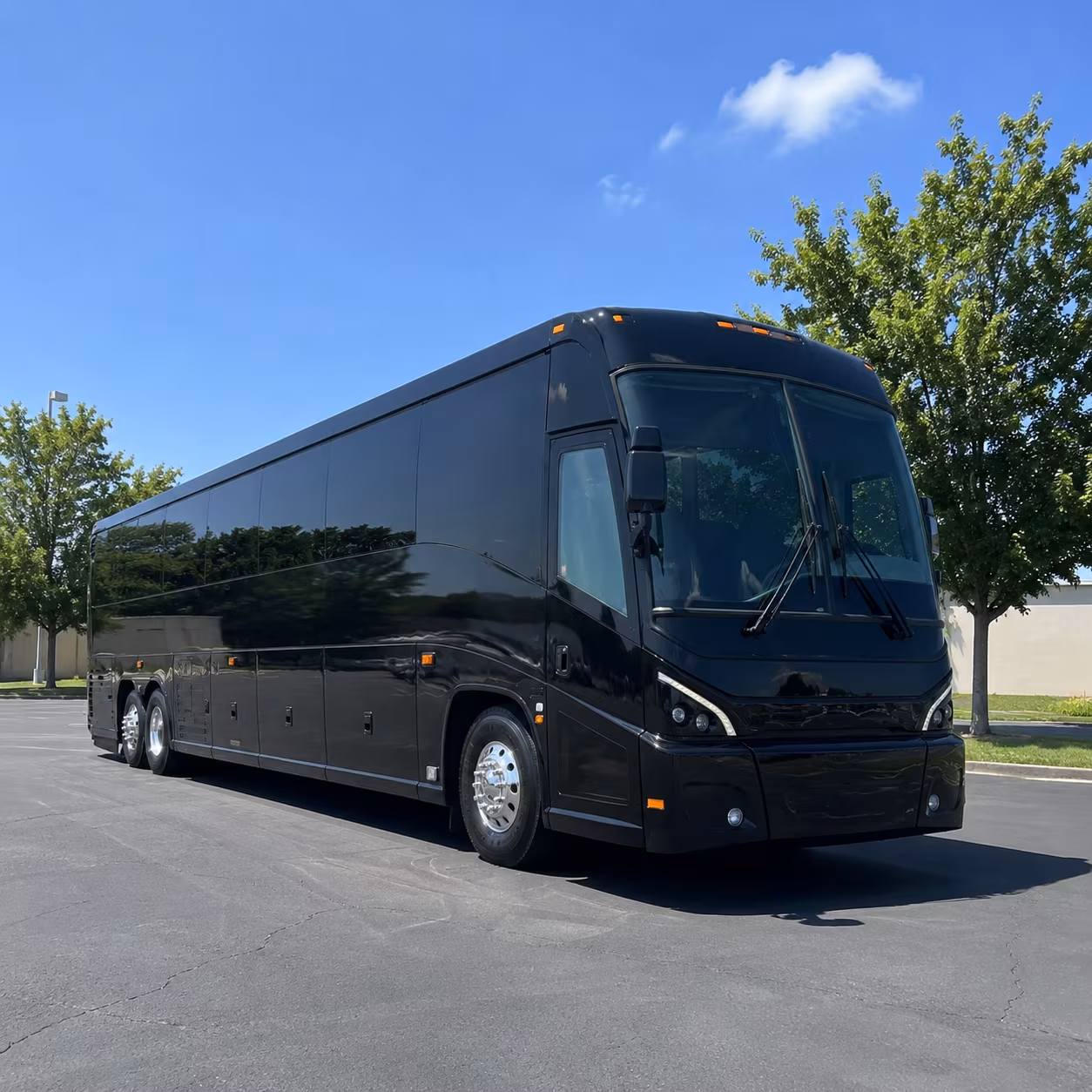 sun city arrive together with sun city charter bus rentals for prom