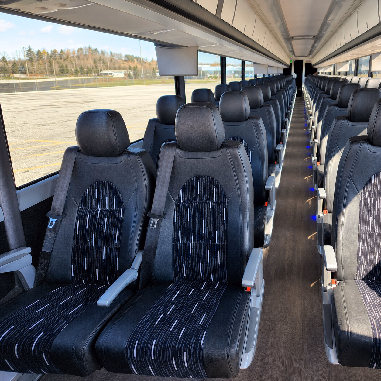surprise group transportation for surprise school field trips